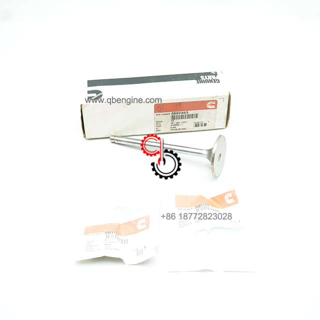 3802463 3924492 Оригинальный впускной и выпускной клапан дизельного двигателя 6CT Cummins