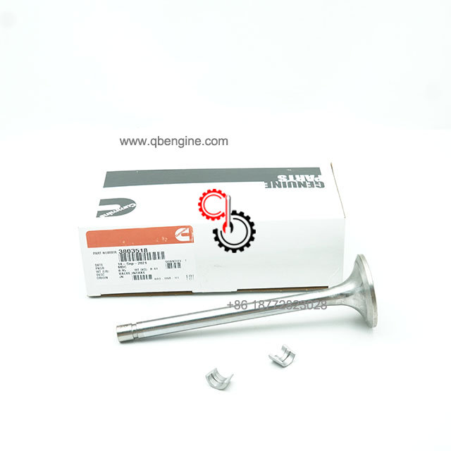 3803518 3052820 K19 Оригинальные впускные клапаны Cummins K38 Custom Racing K50