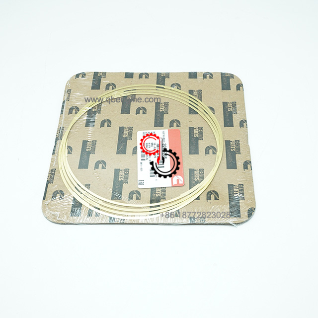 3088298 K19 QSK19 Уплотнительное кольцо гильзы цилиндра, оригинальное Cummins