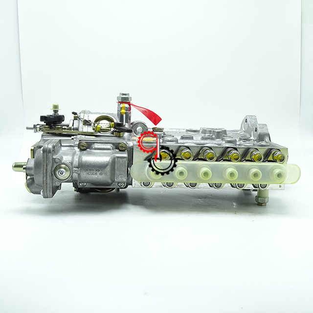 L340 6LT P7100 RQVK Cummins Детали двигателя грузовика Насос впрыска топлива Delph 4937513